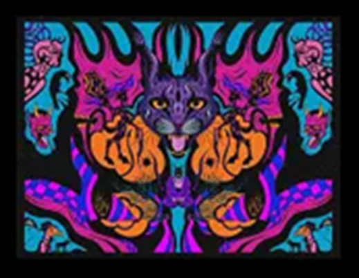 POPYvfzxhg1fdssddsfghjk1a12hjgfdsassdc41a2xveasdxcvbfgesd